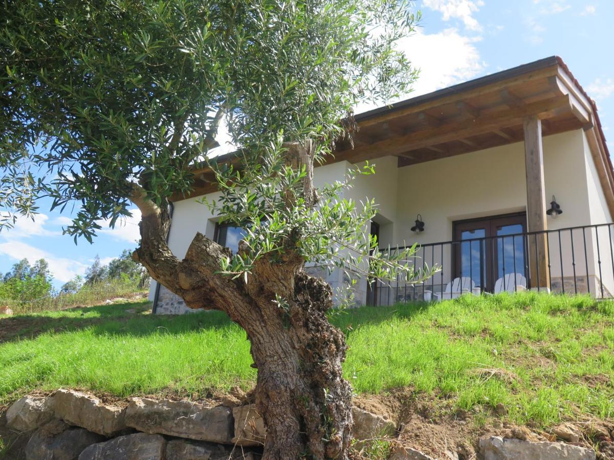 La Casina Del Olivo Villa Ribadesella Exterior photo