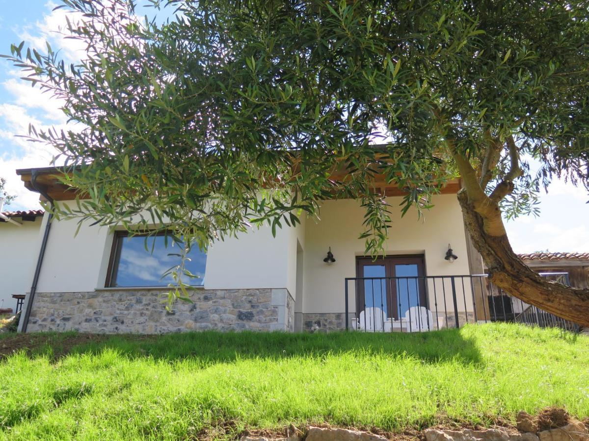 La Casina Del Olivo Villa Ribadesella Exterior photo